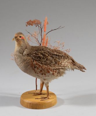 un petit oiseau posé sur un socle en bois