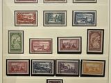 framed picture of a collection of postage stamps in a display case