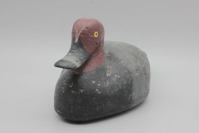 un canard noir et rose aux yeux jaunes sur fond blanc