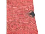 an image of a red and black paisley scarf on a white background