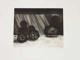 black and white photograph of three hedgehogs in front of a waterfall