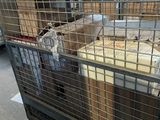 a cage filled with boxes and boxes in a warehouse