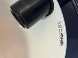 a white toilet with a black handle and a white bowl
