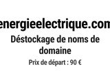 Photo 1/1 du lot