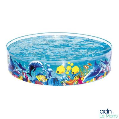 une image représentant une piscine gonflable avec des dauphins et des poissons
