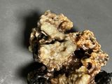 a close up of a pile of nuts on a table