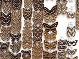 many different types of butterflies on display in a white box