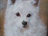 painting of a white dog with a black nose and brown eyes