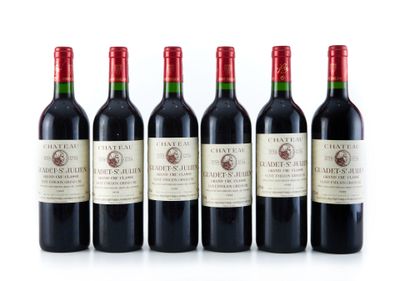 six bouteilles de vin rouge alignées sur une surface blanche