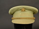 an image of a green hat with a gold emblem on it