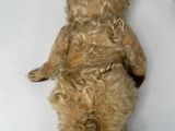 a teddy bear that is laying down on the floor