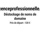 Photo 1/1 du lot