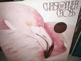 vinyl record album with a pink flamingo on top of a stack of books
