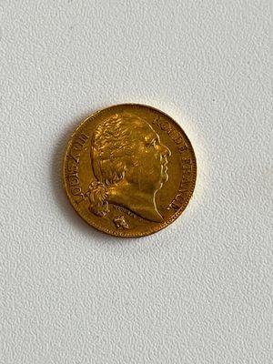 pièce 20 francs Louis XVIII Or 900‰, une rayure côté pile, 6…
