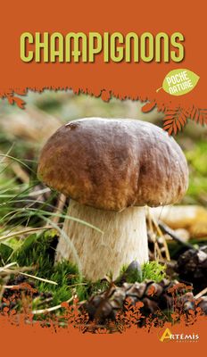 ARTÉMIS - Guide de poche CHAMPIGNONS - Plus de 380 espèces -…