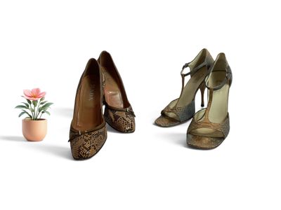 deux paires de chaussures pour femmes et une plante en pot posées sur une surface blanche