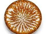a brown and white plate on a white surface