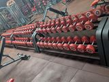 rows of red dumbs in a gym with a rack of dumbs in the background