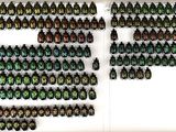 a display case filled with lots of different colored beetles