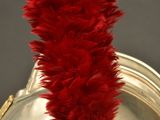 a silver helmet with a red feather on top of it