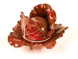 un gros plan d'un chou rouge sur fond blanc