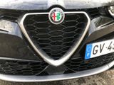 a close up of a car ' s grille with the italian flag on it