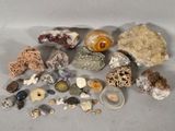 de nombreux types de roches et de pierres sur la table