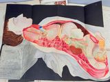 un livre ouvert sur lequel figure le dessin d'une femme allongée sur un lit