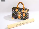 louis vuitton multicolore speedy bag with wooden handle