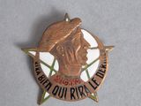 a close up of a medal with a star on it