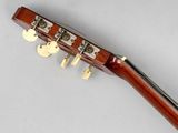 a close up of a guitar with a wooden neck and strings