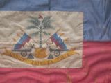 an image of a flag with a palm tree on top of it