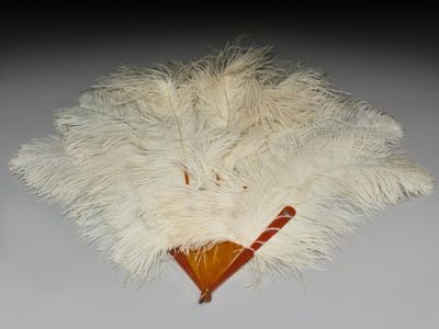 un éventail en plumes blanches avec un manche en bois posé sur une table