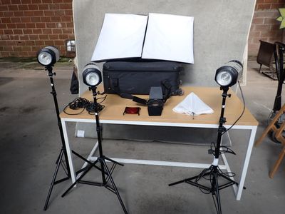 PHOTOGRAPHGIE : réunion comprenant :