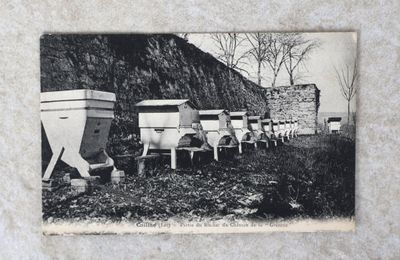 de nombreuses ruches alignées au bord de la route