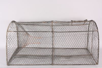 une image représentant une cage métallique avec un poisson à l'intérieur