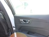 a dog sitting in the driver ' s seat of a car