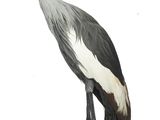 un oiseau posé sur un socle, coiffé d'un chapeau