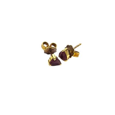 a pair of gold and garnetite earrings on a white background
