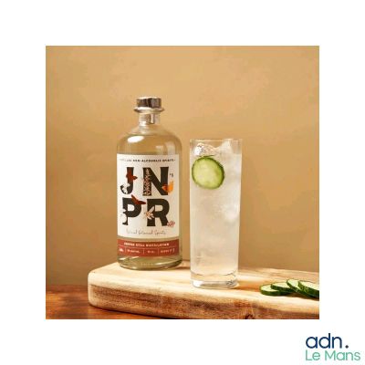 une bouteille de gin à côté d'un verre contenant un concombre