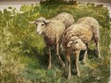 two sheep standing in a field of green grass
