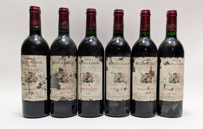 12 bouteilles de CHATEAU MOULIN DU CAILLOU Montagne Saint Em…