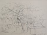 dessin au crayon représentant un arbre et un banc dans un parc