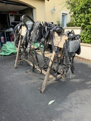 de nombreux types de selles de cheval exposés sur un parking