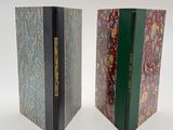 deux livres posés l'un sur l'autre sur une surface blanche