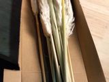un couteau posé sur une table à côté d'un bouquet d'herbe