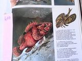 un livre avec des images de poissons posé sur une table