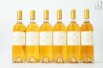 six bouteilles de vin sont alignées sur une surface blanche
