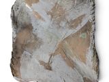 an image of a piece of rock that has been made to look like a piece of art