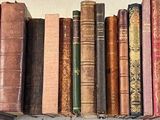 Photo 1/7 du lot